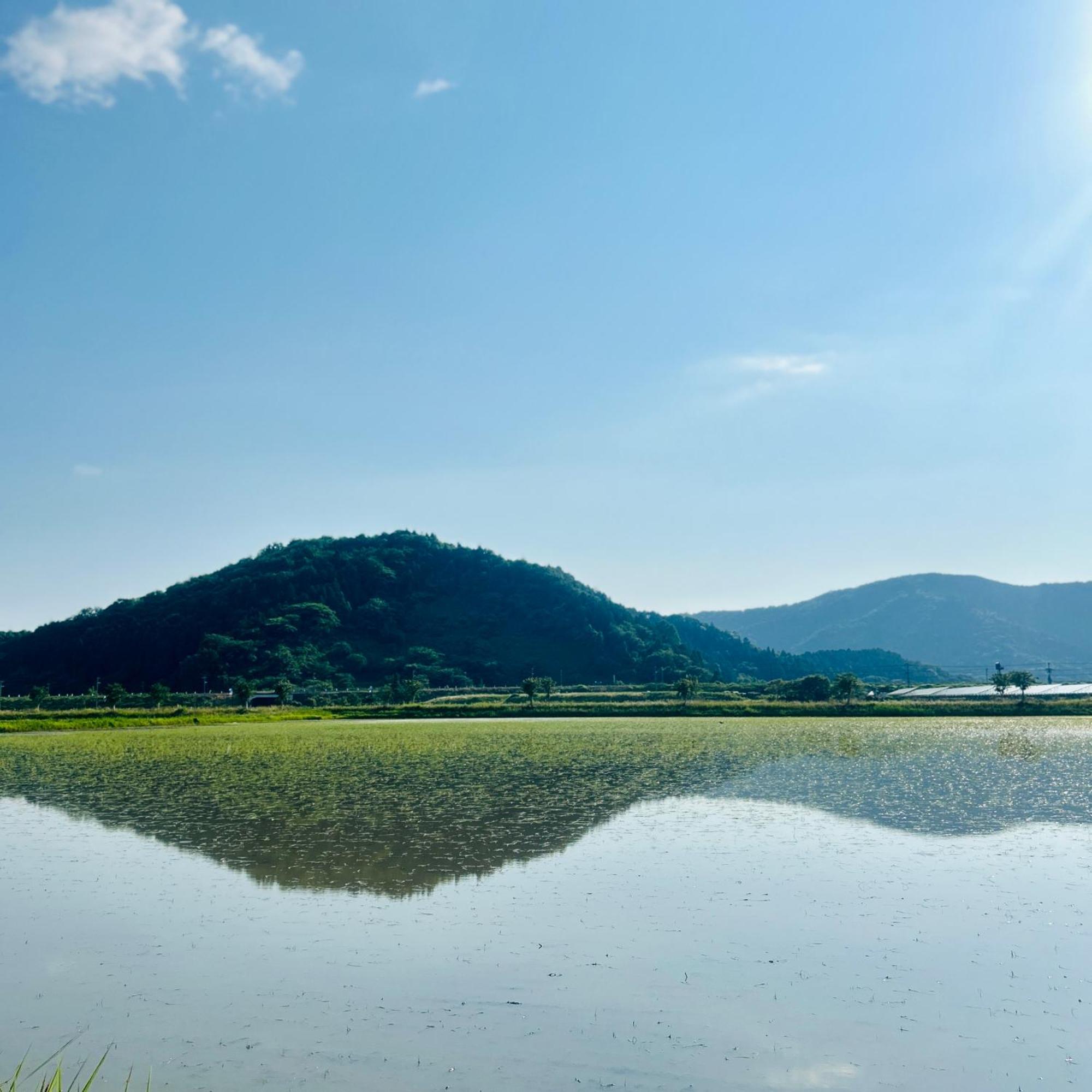 湖北 寺の宿-去-来-現ko-Rai-Gen 長浜市 エクステリア 写真